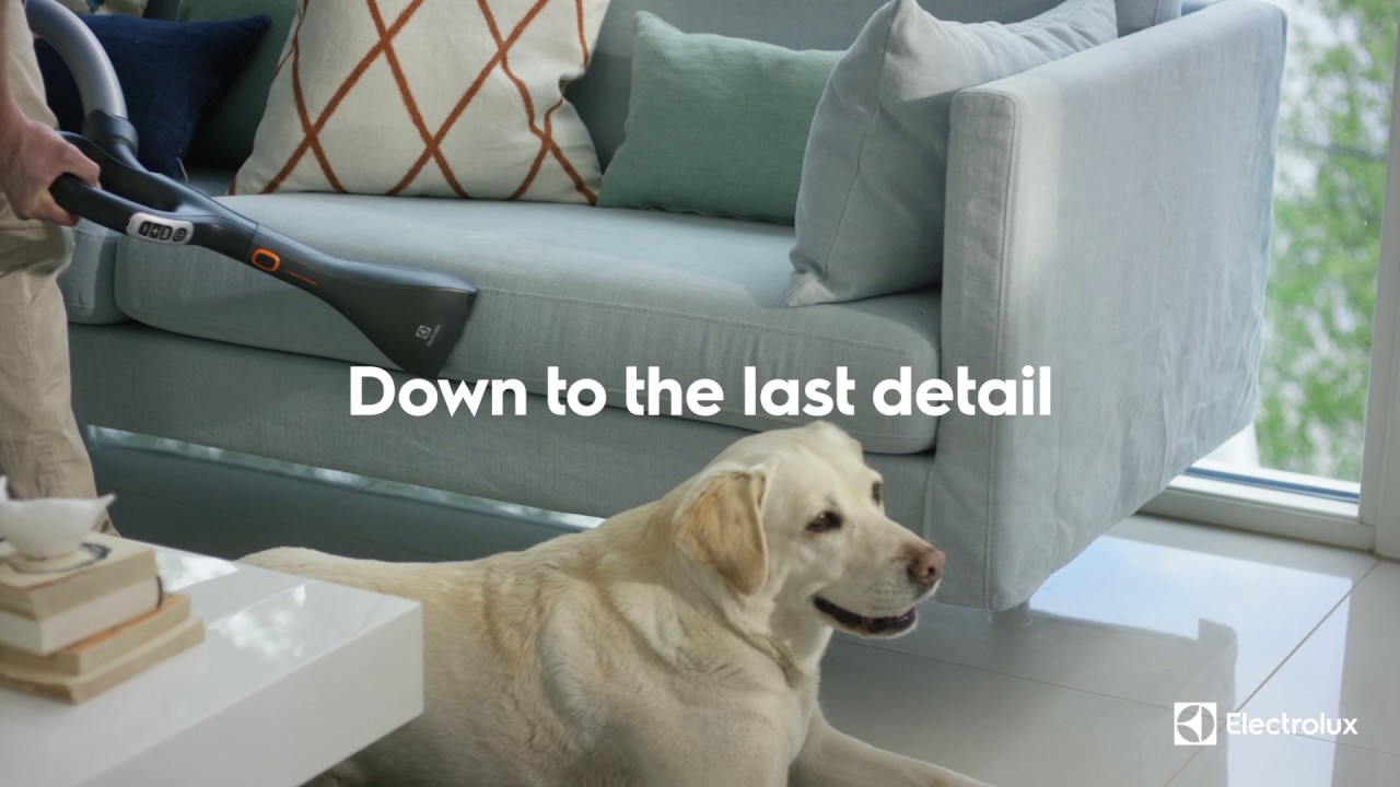 Animal Care Kit Electrolux PerfectCare KIT 13 lemmikkieläinten karvojen