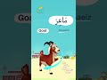 Farm Animals In Arabic When Was The Last Time You Went To The Farm حيوانات المزرعة بالعربية Farm Animals In Arabic When Was The Last Time You Went To The Farm حيوانات المزرعة بالعربية