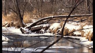 Deer Parcel Buying Guide: Finding The Perfect Whitetail Property