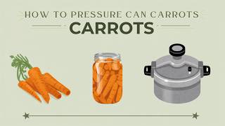 Pressure Canning Carrots | Step By Step Recipe and Instructions 🥕🥕