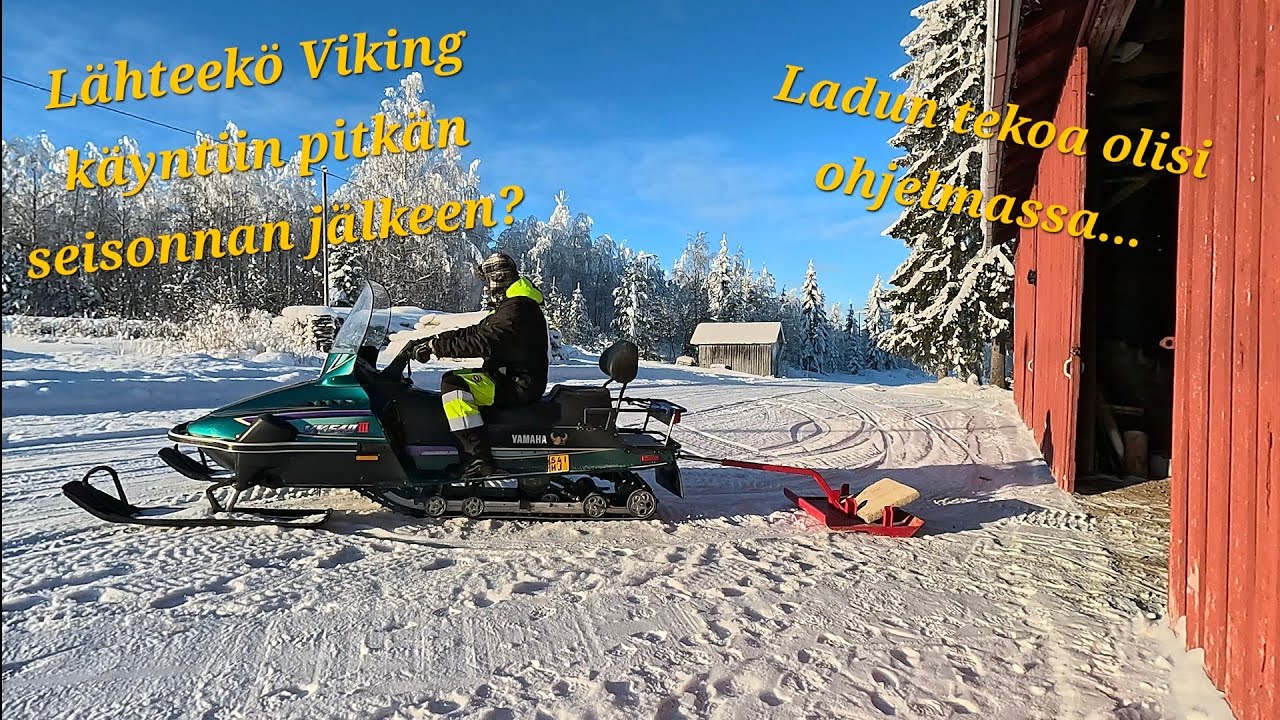 Hiihtoladun tekoa pellolle moottorikelkalla. Lähteekö Yamaha Viking käyntiin? @ParatiisiPerukassa