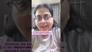 Dog In Dream What Happen When You See A Dog In Dreams Meaning Of A Dog In A Dream