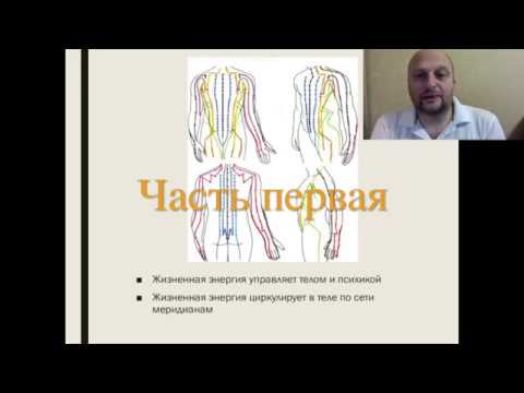 Су-Джок 6 Ки акупунктура. Практический семинар. Часть первая