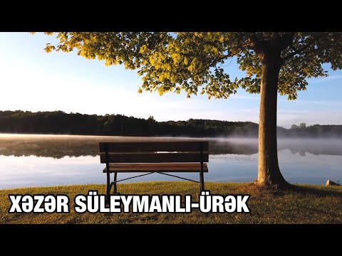 Xəzər Süleymanlı-ÜRƏK (Fidan Əliyevanın şeiri)