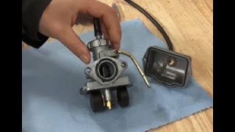 Briggs Lo206 Carburetor float adjustment:  How To