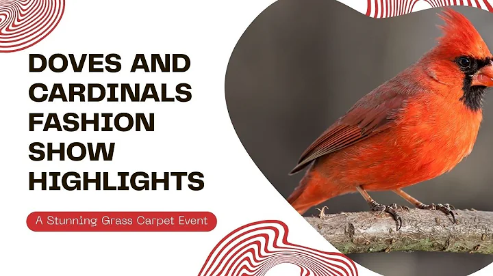 Doves and Cardinals Take the Spotlight: A Stunning Grass Carpet Fashion Show!