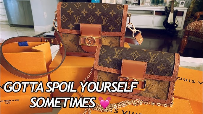 LOUIS VUITTON DAUPHINE MM BAG COMPARISON WITH POCHETTE METIS - WHICH BAG IS  BETTER? 