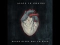 Alice In Chains - Your Decision (Studio Version)