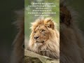 शेर और हिरण की सीख | Success Motivation 🦌🦁#motivation #success #hardwork #competitiveexams