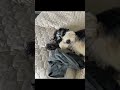 Did we make it!?!? Not yet, ok!!#funnyvideos #viral #humortiktok #tampa
