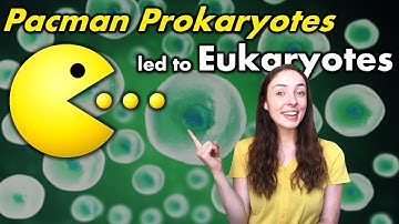 Evolutie van eukaryoten - Hoe en waarom endosymbiose ontstond en wanneer de eerste eukaryoten evo...