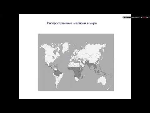 Малярия. Инфекционные болезни. Бронштейн А.М. 5 курс