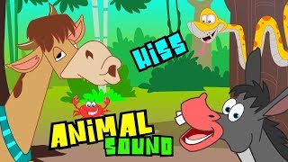 Farm Animal Sounds I Zoo Animals I Nursery Rhymes & Songs For Children I Kids Kindergarten Videos