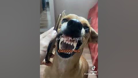 EU QUEBREI TODAS AS REGRAS DESSE SERVER DE YOUTUBERS