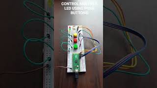 Control Multiple LEDs with Push Buttons |  #raspberrypi #reels #shorts #shortsfeed