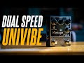 Dual speed univibe the formula b vintage vibe mk2