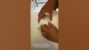 [procedure text] How to Make a Boat Out Of Origami