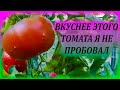 Этот ТОМАТ всем советую посадить! Обзор томата ЧЕРНАЯ ЛАКОМКА. Какой сорт томата посадить. Помидоры.