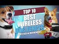 Top 10 Best Wireless Dog Fence Systems (Tested and Reviewed)