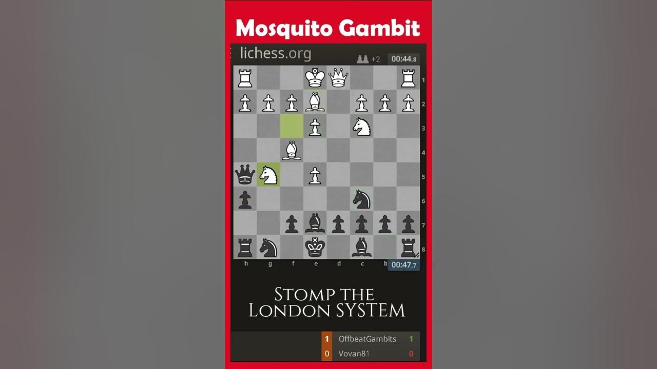 Contra gambito vence o gambito do Rei Countergambit wins King's Gambit