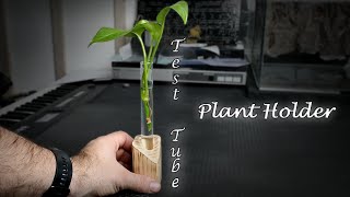 How to make: Test Tube Plant Holder
