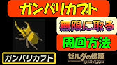 依頼を受けて サトリ山の大木に集まるカブトムシ を捕まえまくってみた Youtube