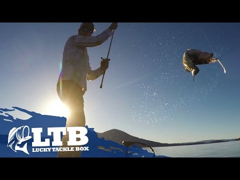 Fishing Swimbait All Year Long – Travis Moran Video