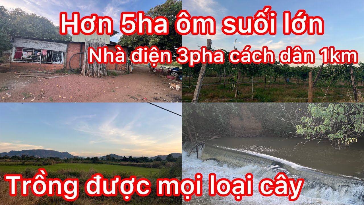 Cần nhượng hơn 5ha có nhà điện 3pha ôm suối nước quanh năm đất đẹp sẵn 1ha ruộng lúa ai cần Lh em
