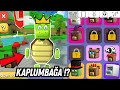 Kaplumbağa Oldum Skin Yaptım !| Super Bear Adventure Çark Çevirme Gameplay