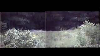 stabilized ghost video ( its fake. read description for my analysis )