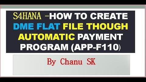S4HANA- How to Create DME Flat File though Automatic Payment Program (APP-F110)