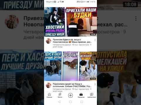 Подписывайтесь на канал