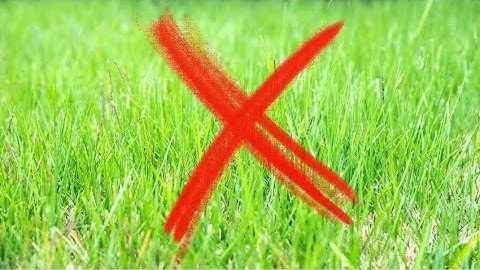 Celeste but you can’t touch grass