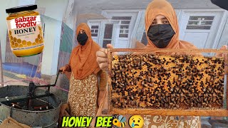 Hamari Sabse Badi Bee Farm | Aaj Bhut Honey Nikala | 😳7000 Bees On One Frame | Asli Kashmiri Shahed