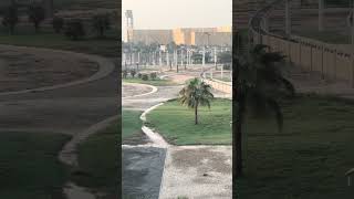 Fiorano GT Challenge #rollercoaster #themepark #ferrariworldabudhabi #trending #short #shorts #viral