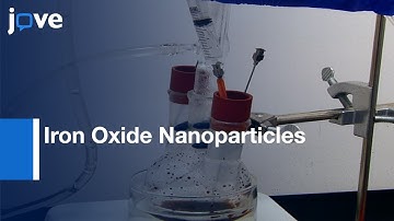 Fabrication Of Functionalized Magnetic Bacterial Nanocellulose l Protocol Preview