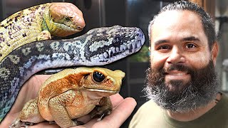 100's of Reptiles! How to Manage a Reptile Store!