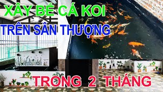 Xây Bể Cá Cảnh Cá Koi Trên Sân Thượng Tầng 3 Trong 2 Tháng