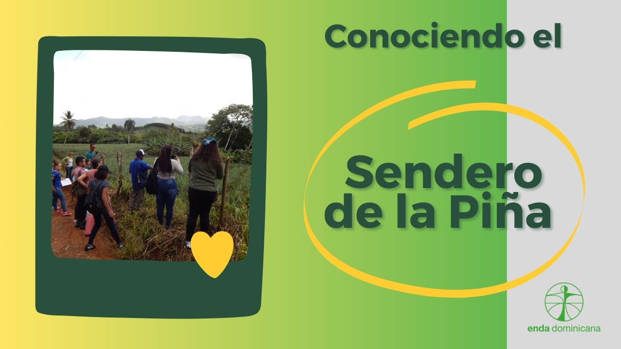 Experiencia Agroturística en Cotuí con plantaciones de piña - YouTube