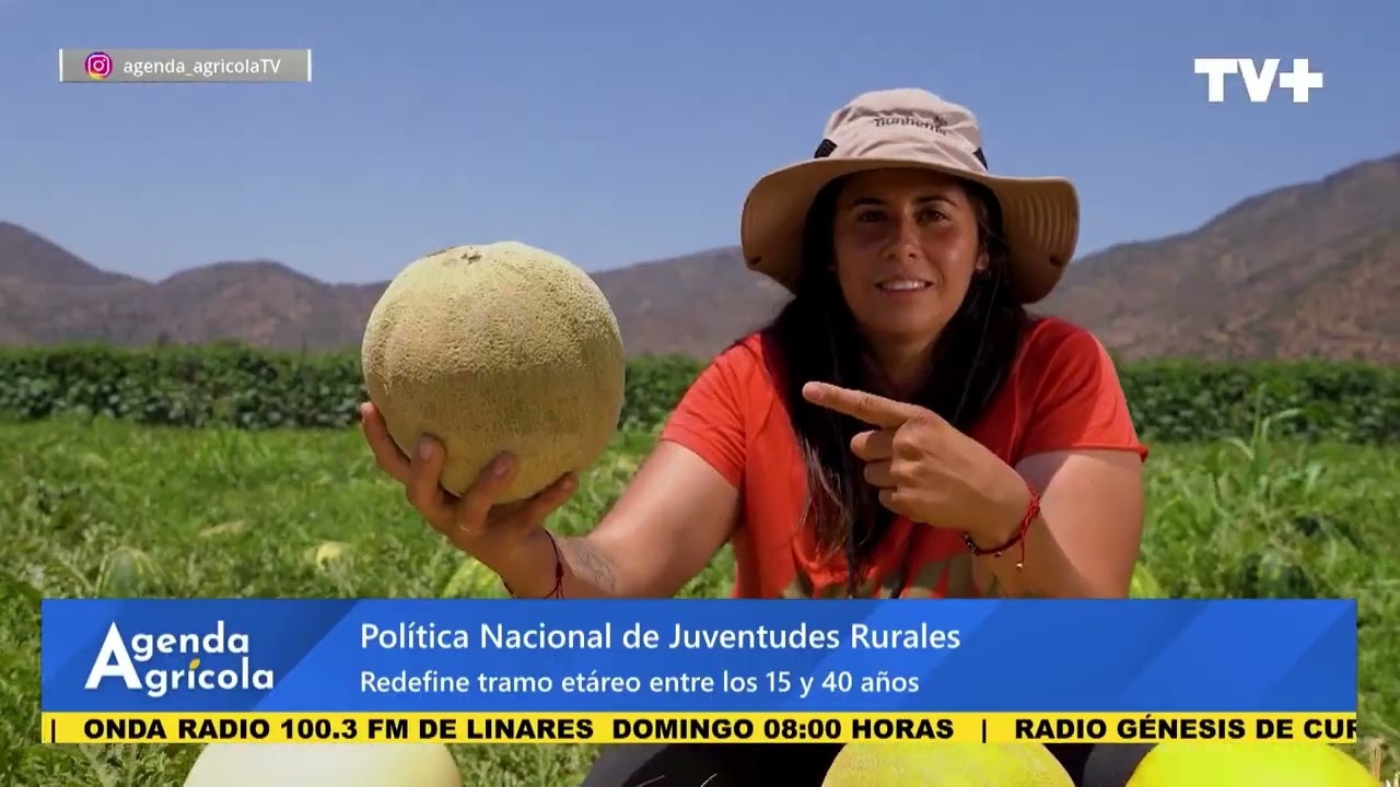 Nota Indap Política joven