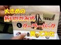 大きめの折りたたみ式クーラーバッグ買ってみた＃125【火曜日】0620