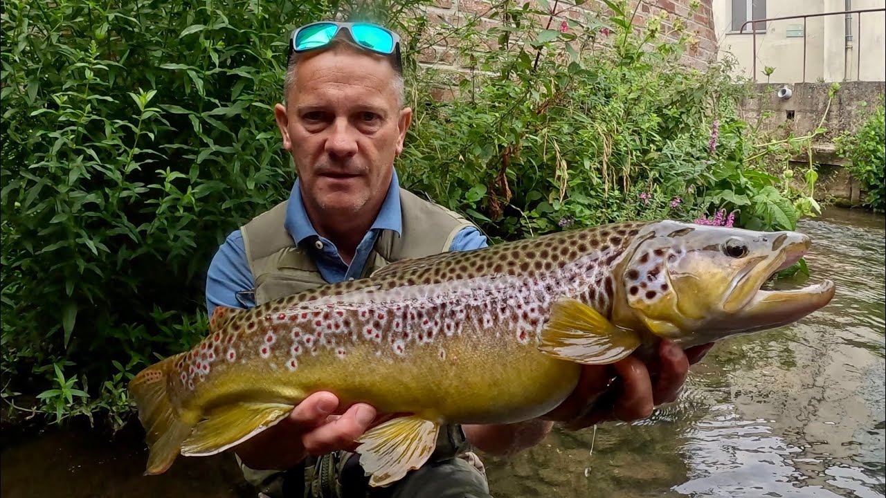 La truite de l’année …. by JF / Angefly Émotion 7’6