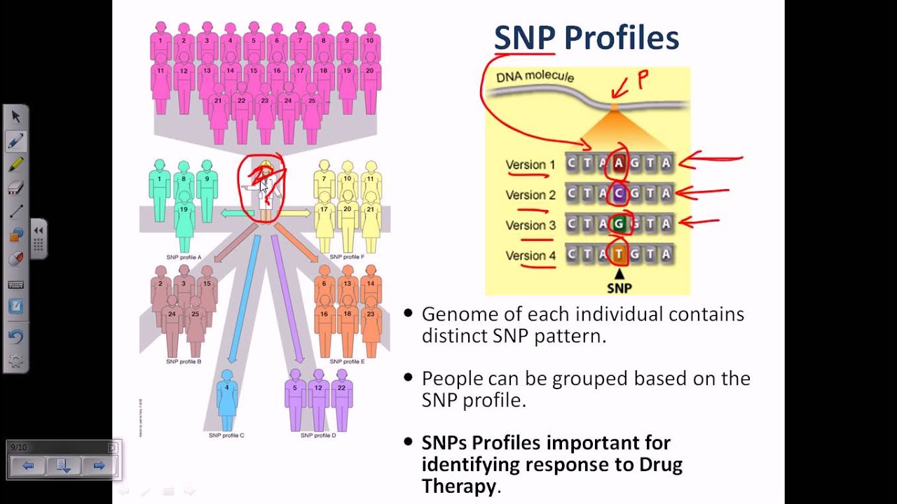 Dna Profiling Flow Chart