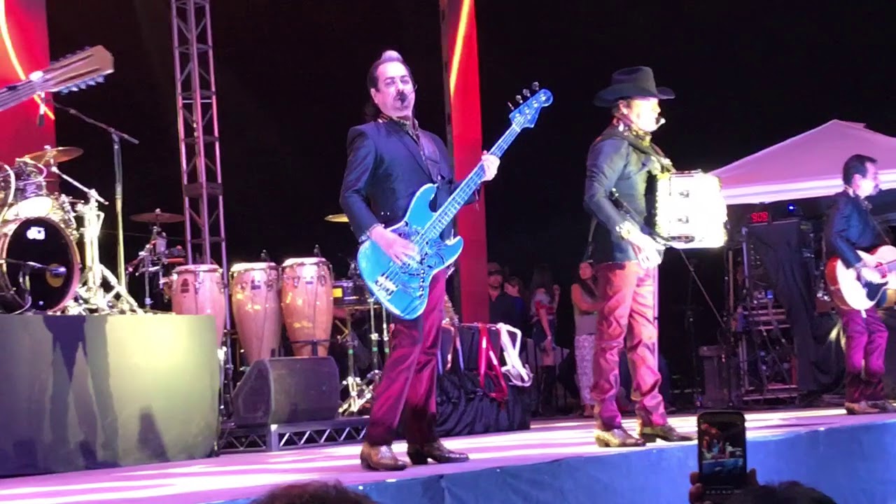 Los Tigres Del Norte La reina Del Sur (Toro Wapo) YouTube Los Tigres Del Norte La reina Del Sur (Toro Wapo) YouTube