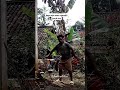 #kaya nya orang ini mau nyolong jeruk aku #lucu