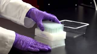 Waters Positive Pressure-96 Processor Demonstration Video