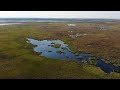 (Не)вечная мерзлота Сибири: как меняется Север России из-за изменения климата