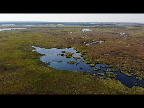 (Не)вечная мерзлота Сибири: как меняется Север России из-за изменения климата…