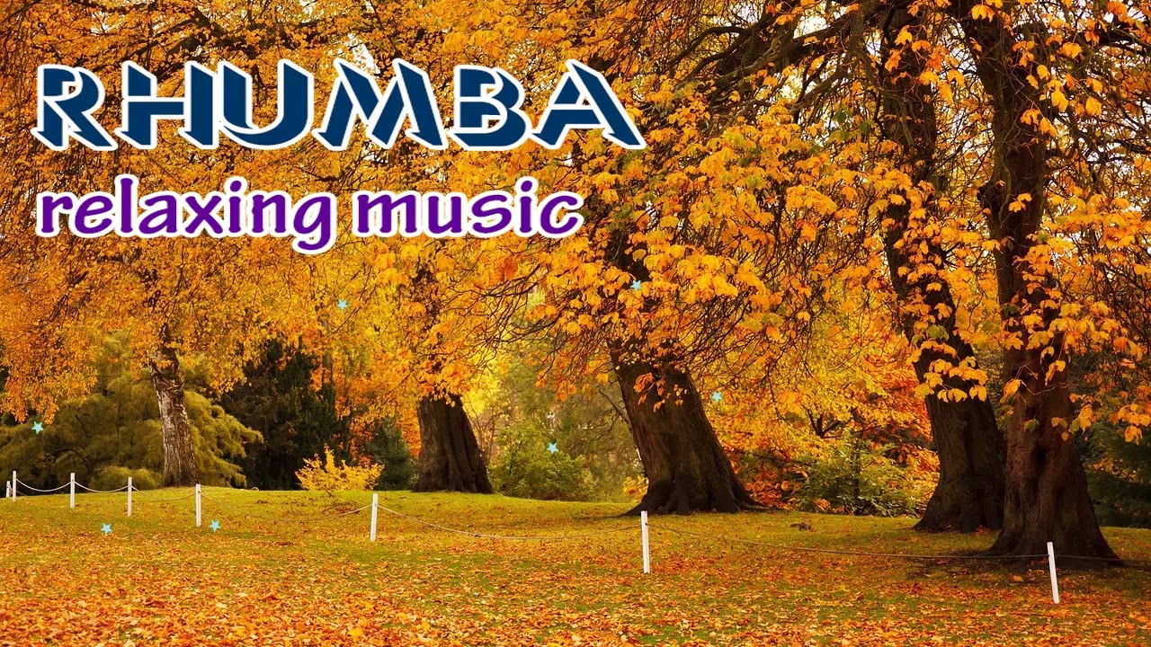 Rumba relaxing melody, beautiful melodies about life and people, music that heals your soul
