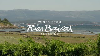 Get to Know D.O. Rías Baixas: Virtual Tour of Pazo Señorans Winery